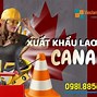 Công Ty Xuất Khẩu Lao Động Âu Việt Tại Canada Tại Mỹ Không Cần