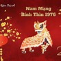 Tử Vi Tuổi Bính Thìn 2023