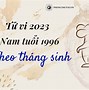 Tuổi Bính Tý Năm 2023 Sao Gì